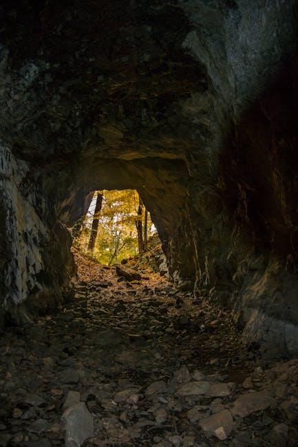 Büyülü Ormanın Saklı Hazinesi