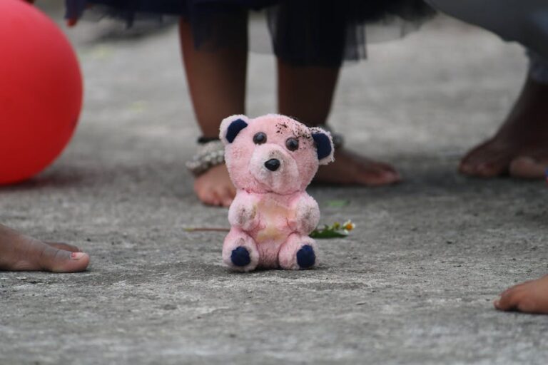 Küçük Ayıcık ve Renkli Balonlar