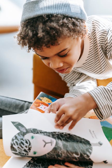 Kayıp Renkler Ülkesi