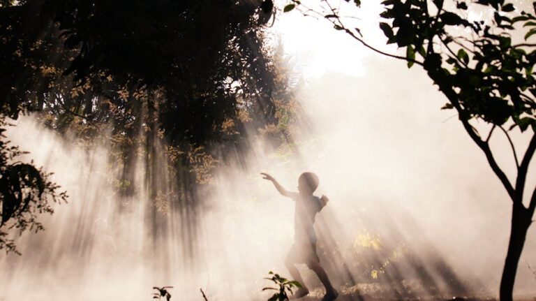 Büyülü Ormanda Macera