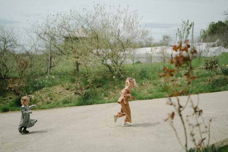 Kayıp Renklerin Peşinde