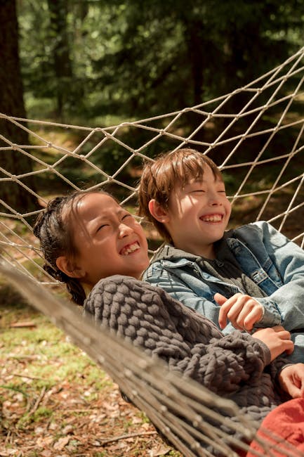 Ormanda Dostlar ve Renkli Maceralar