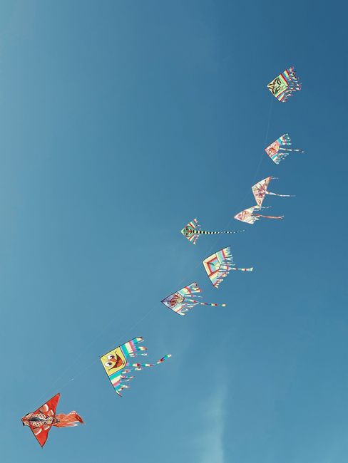 Gökyüzündeki Renkli Balık