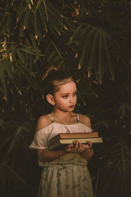 Büyülü Ormanın Sırrı